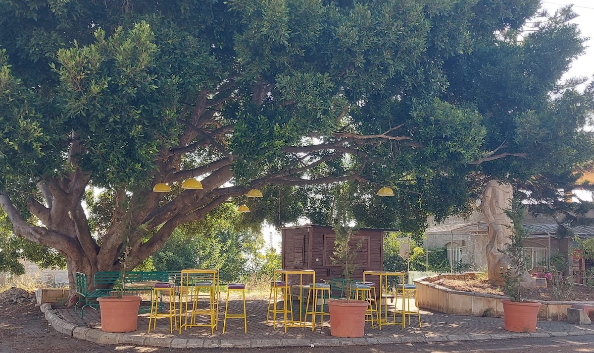 3al Amoré Cafe — photograph 2