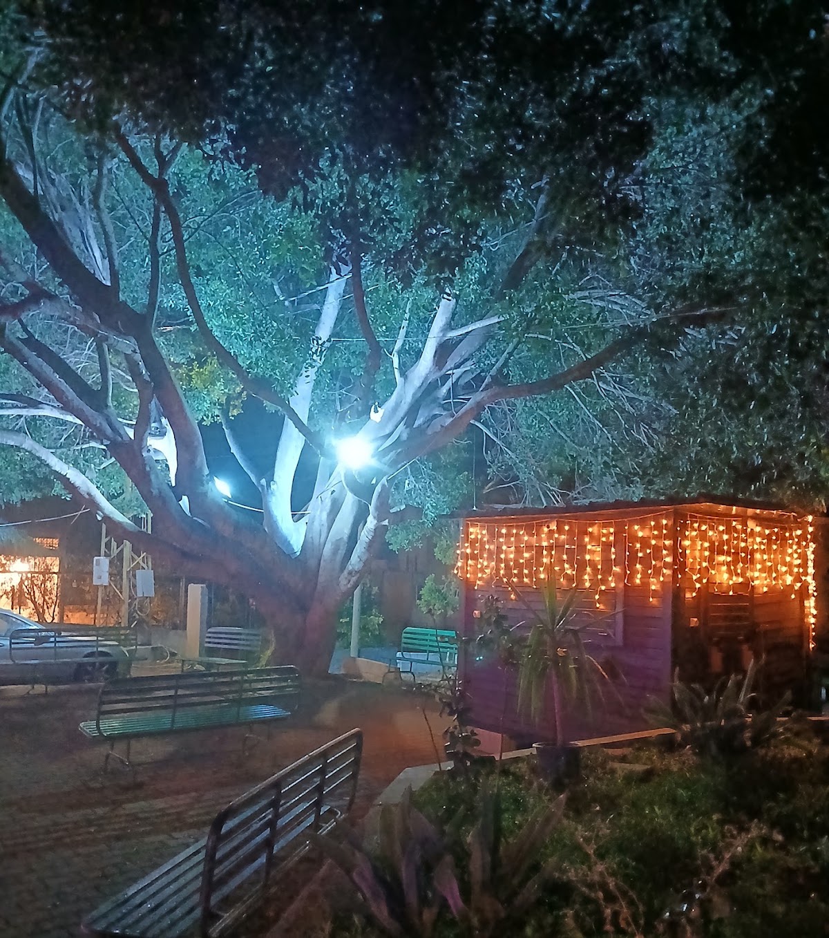3al Amoré Cafe — photograph 3