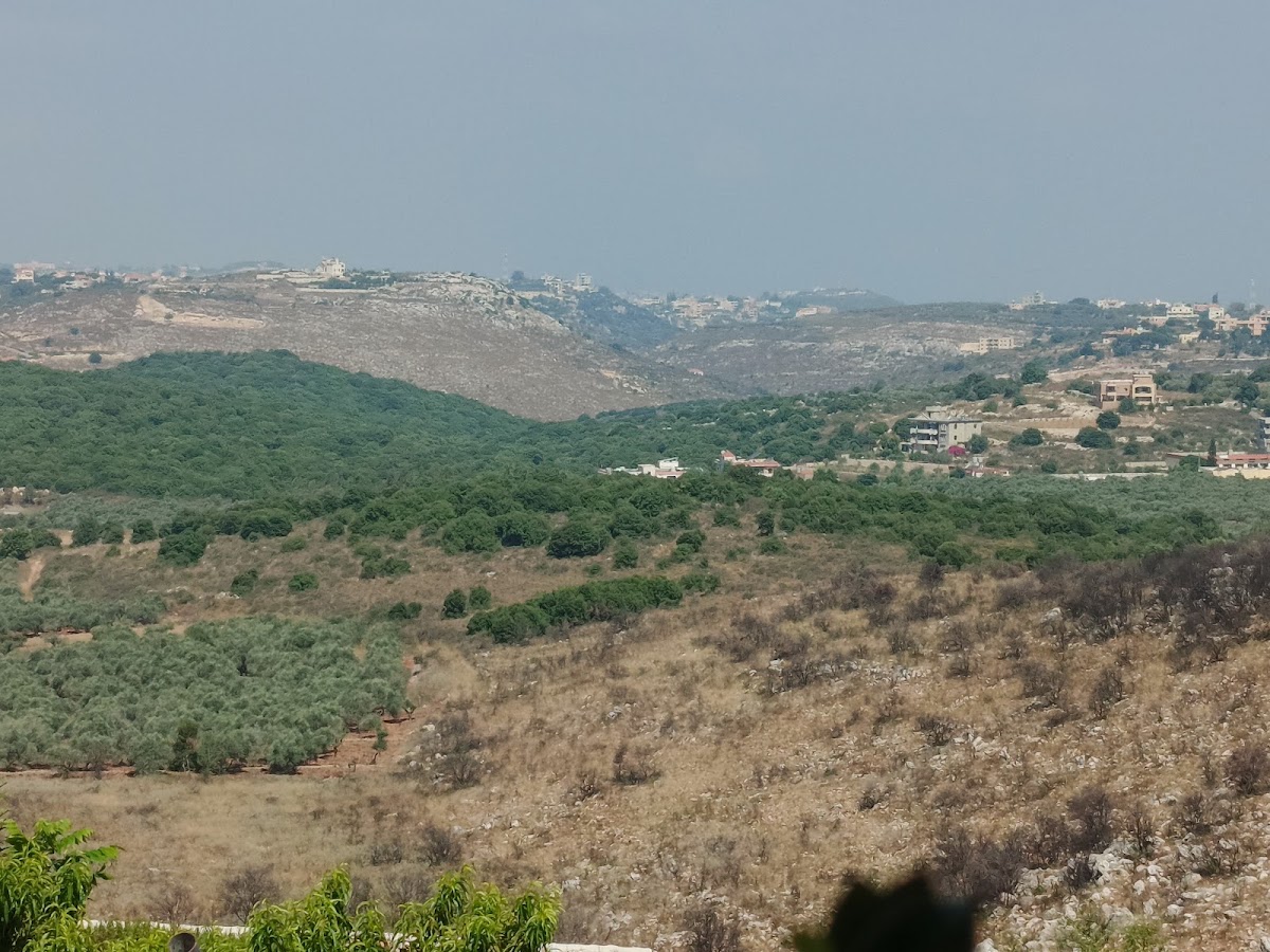 Tasnim Chalet — photograph 5
