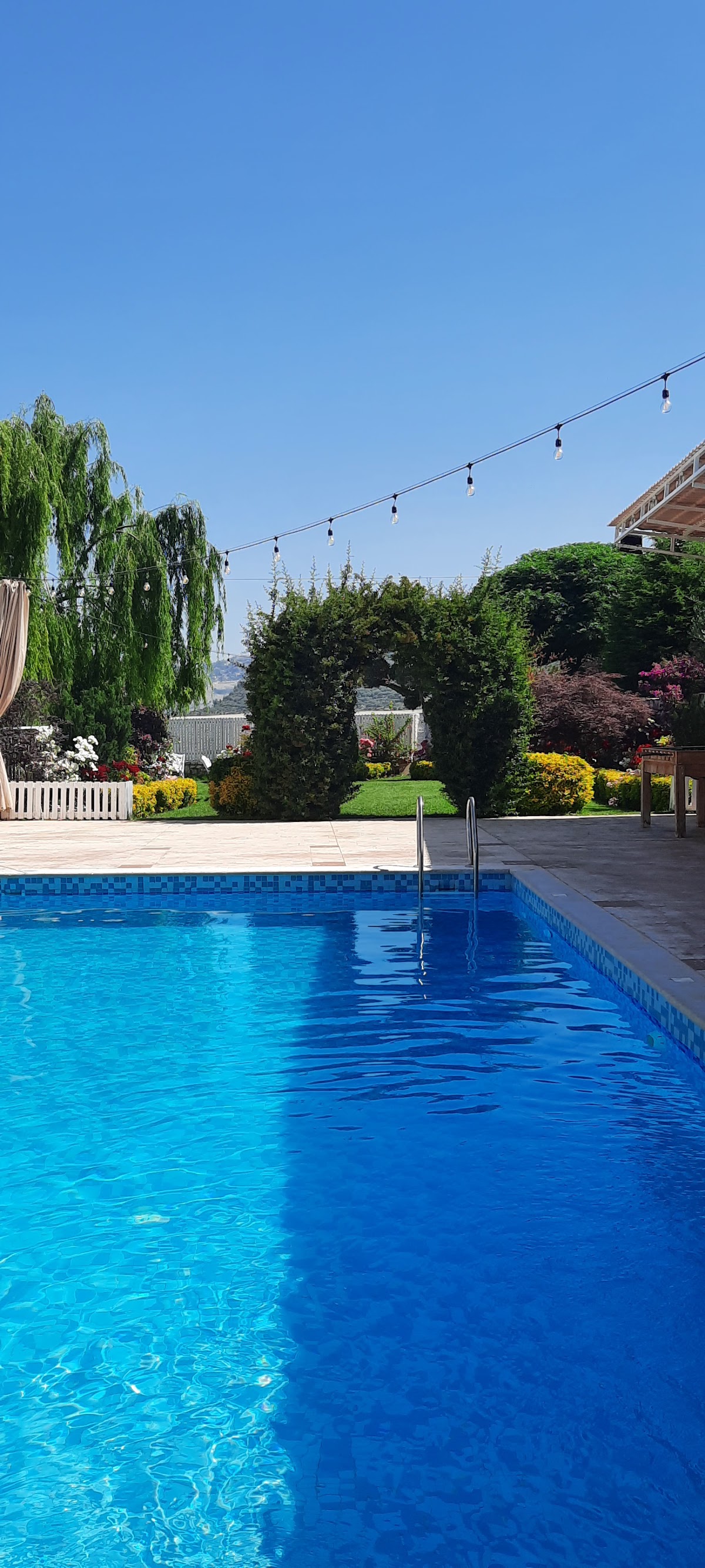 Wared Private Pool & Garden — photograph 3