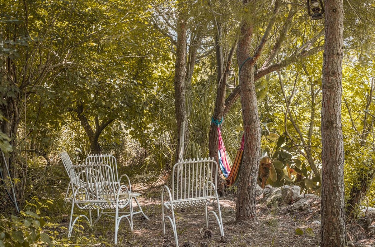 Bechara Souaid — photograph 6