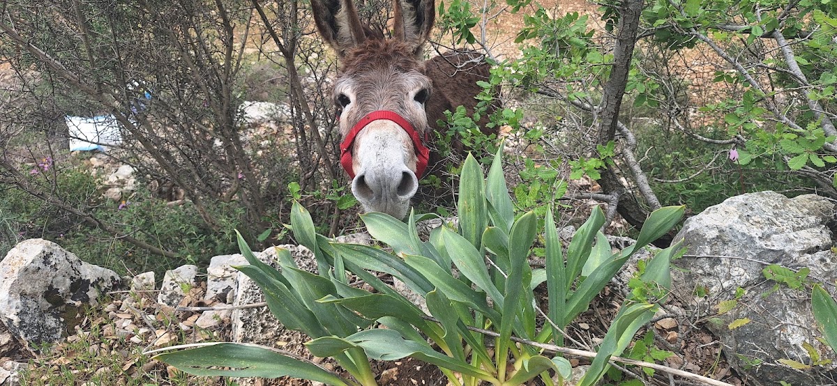 Picnic land - jbeil — photograph 2