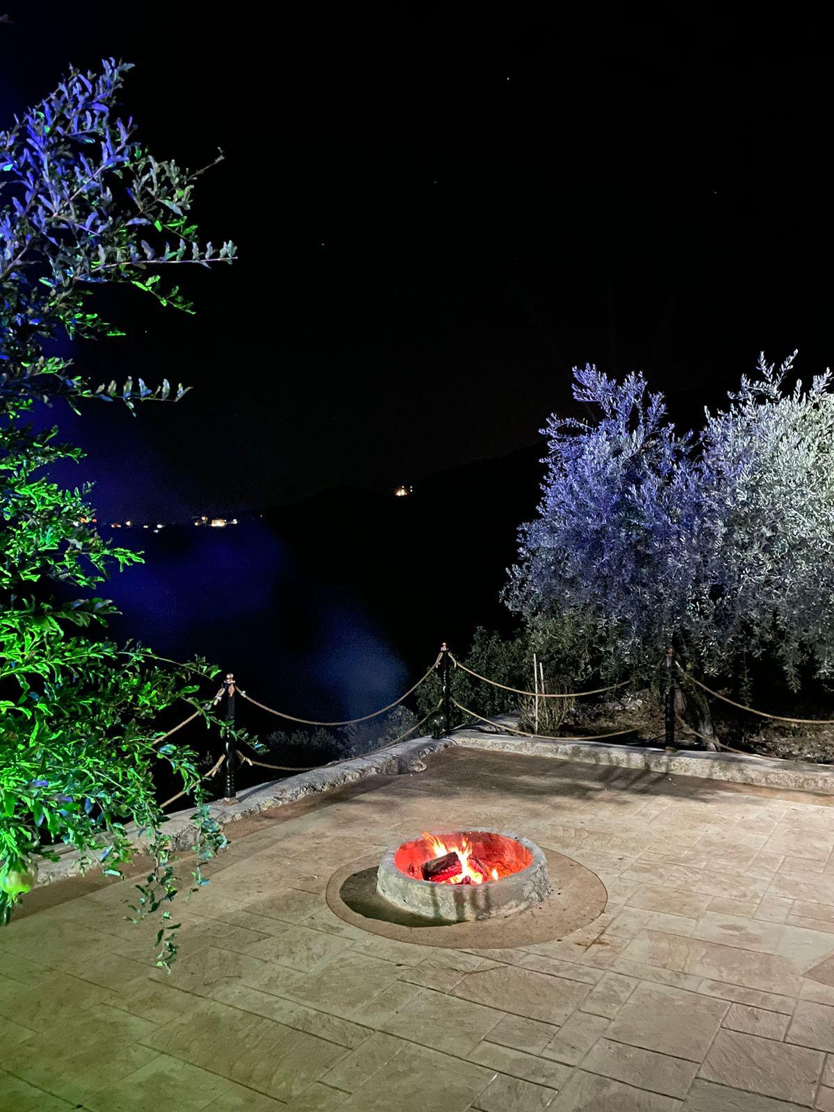 Olives Guesthouse