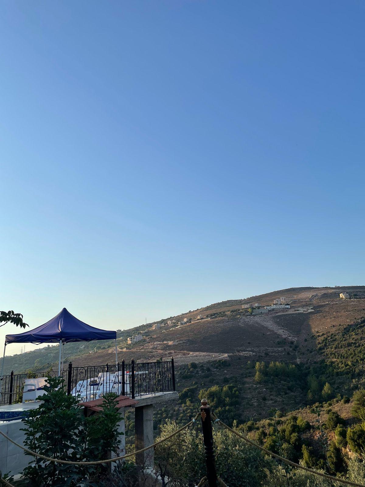 Olives Guesthouse — photograph 4