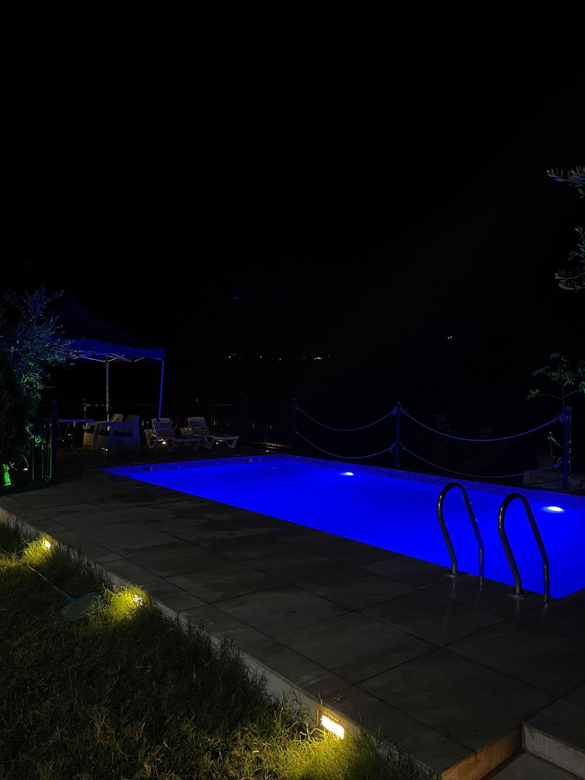 Olives Guesthouse — photograph 5
