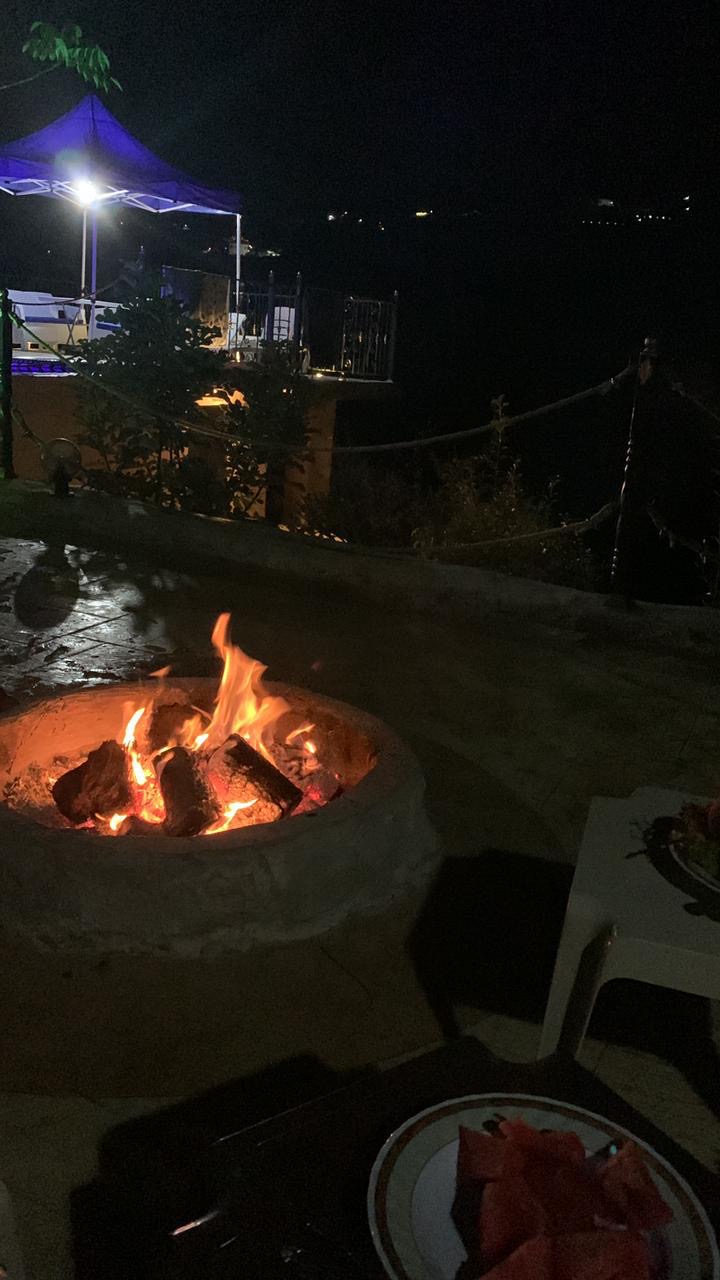 Olives Guesthouse — photograph 6