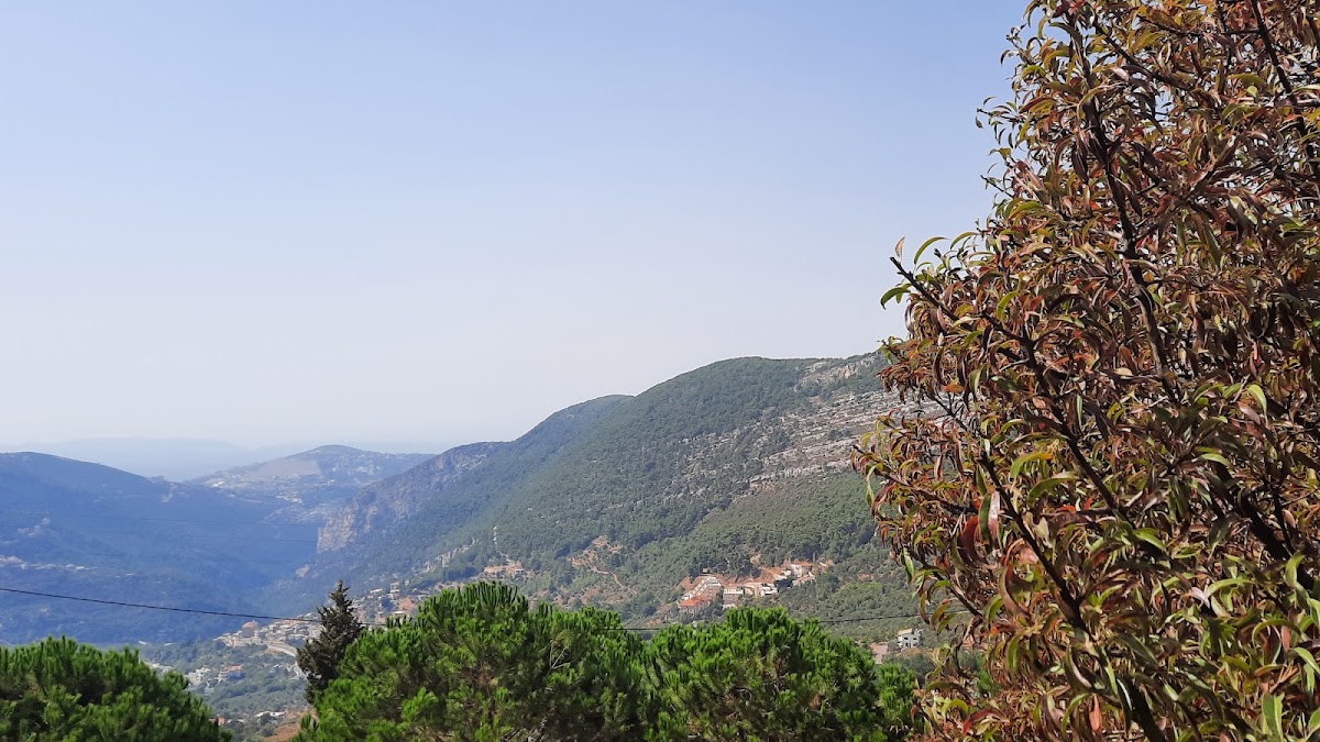 Mataam Al Talle — photograph 3