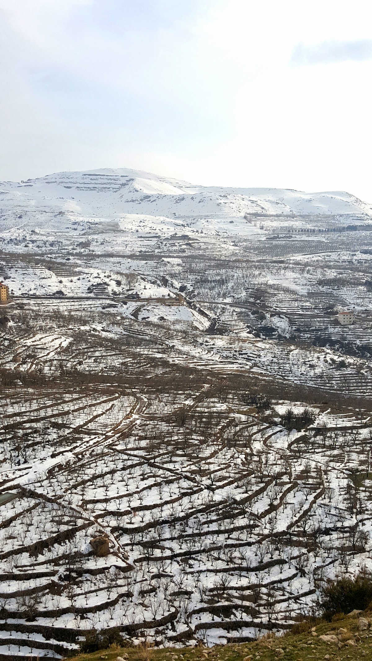 Mataam Abou Al Nar — photograph 2