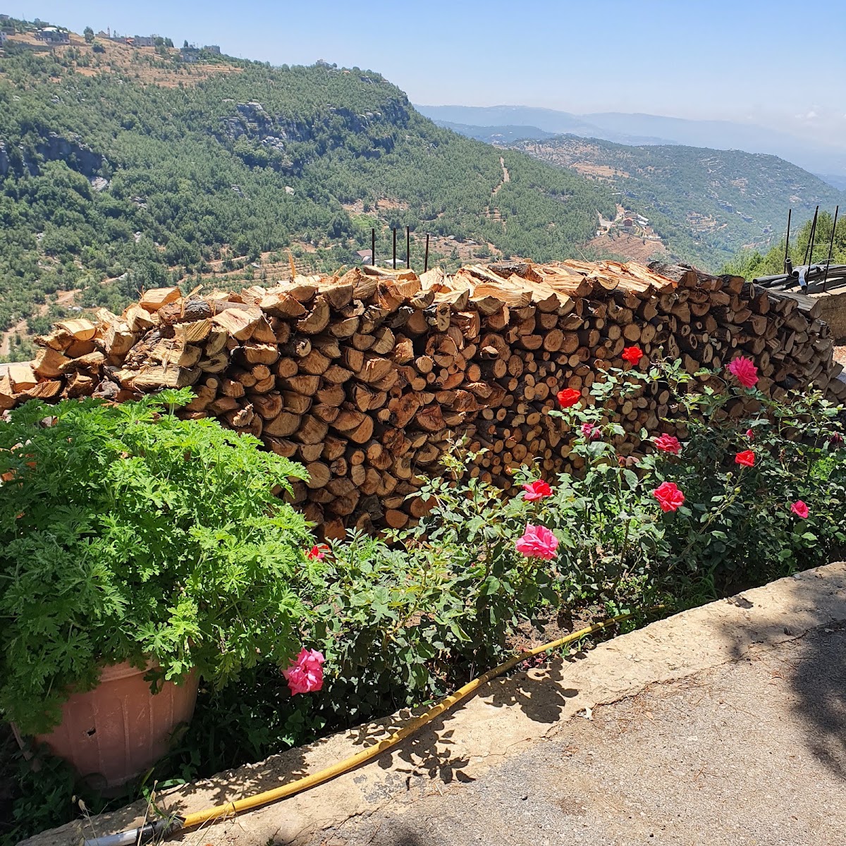 Jalset El Naher — photograph 5