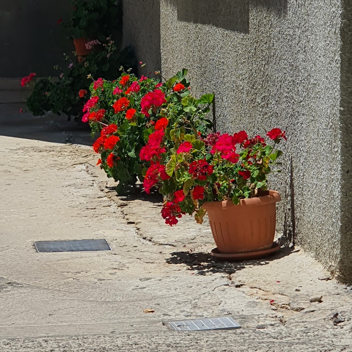 Jalset El Naher — photograph 6