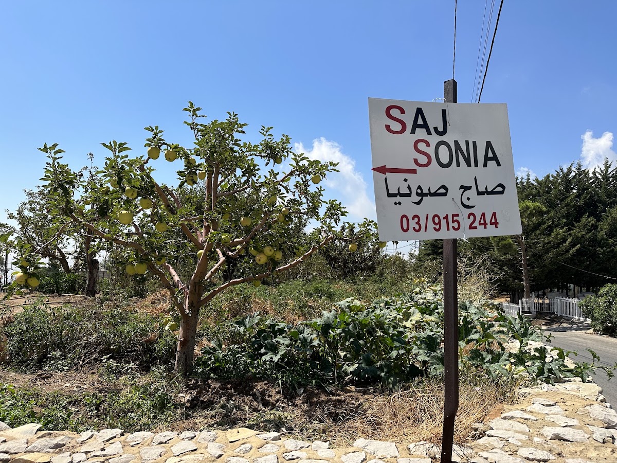 Saj Sonia — photograph 4