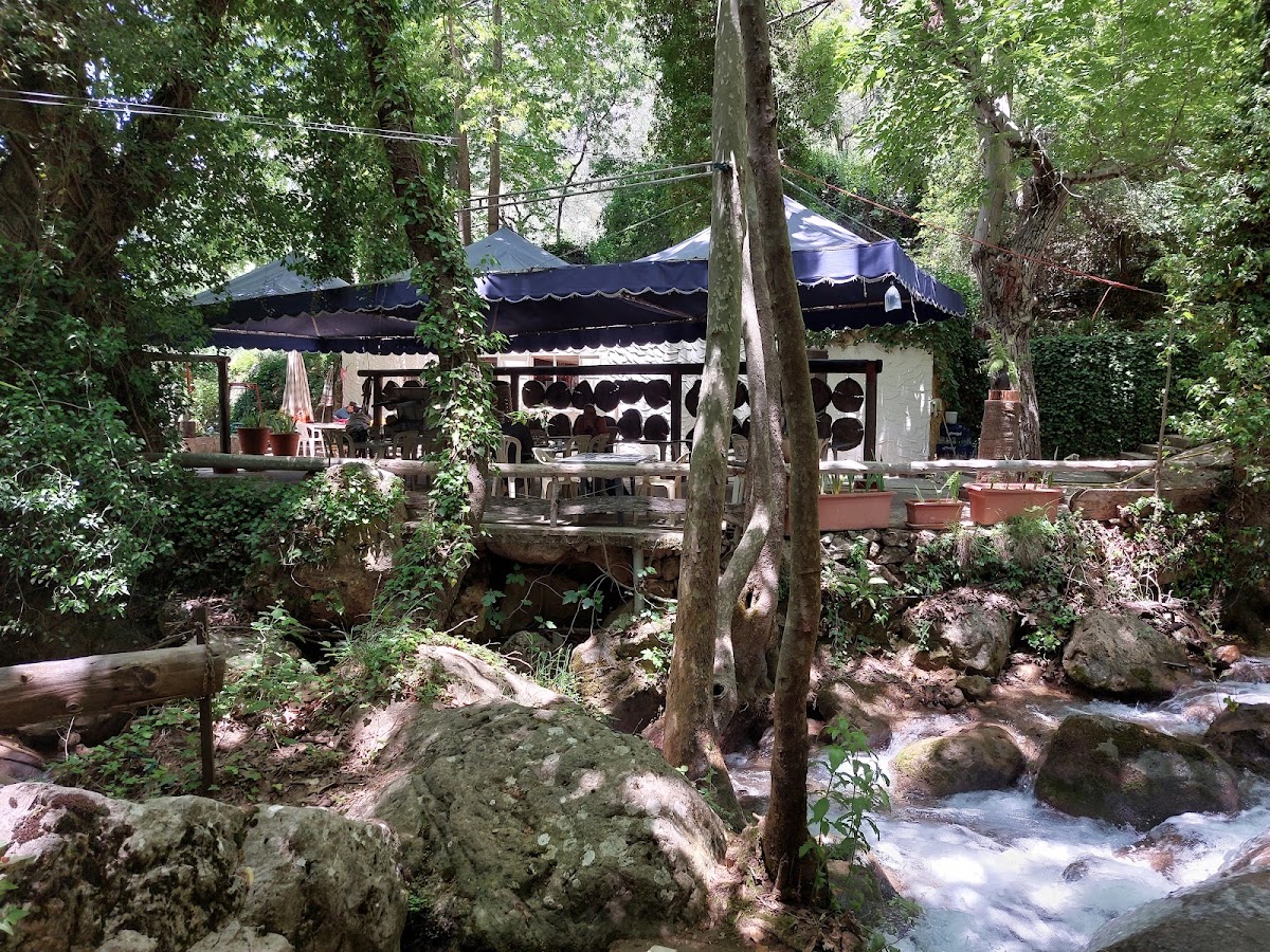 Wadi El Deir - Restaurant — photograph 3