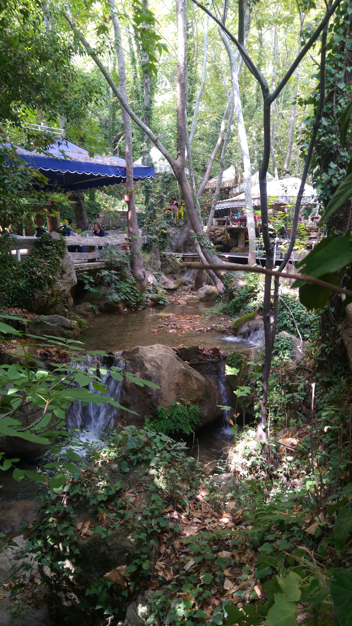 Wadi El Deir - Restaurant — photograph 5