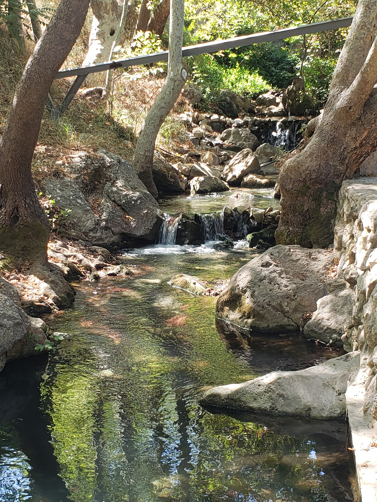 إستراحة العبّارة_picnic-park — photograph 2