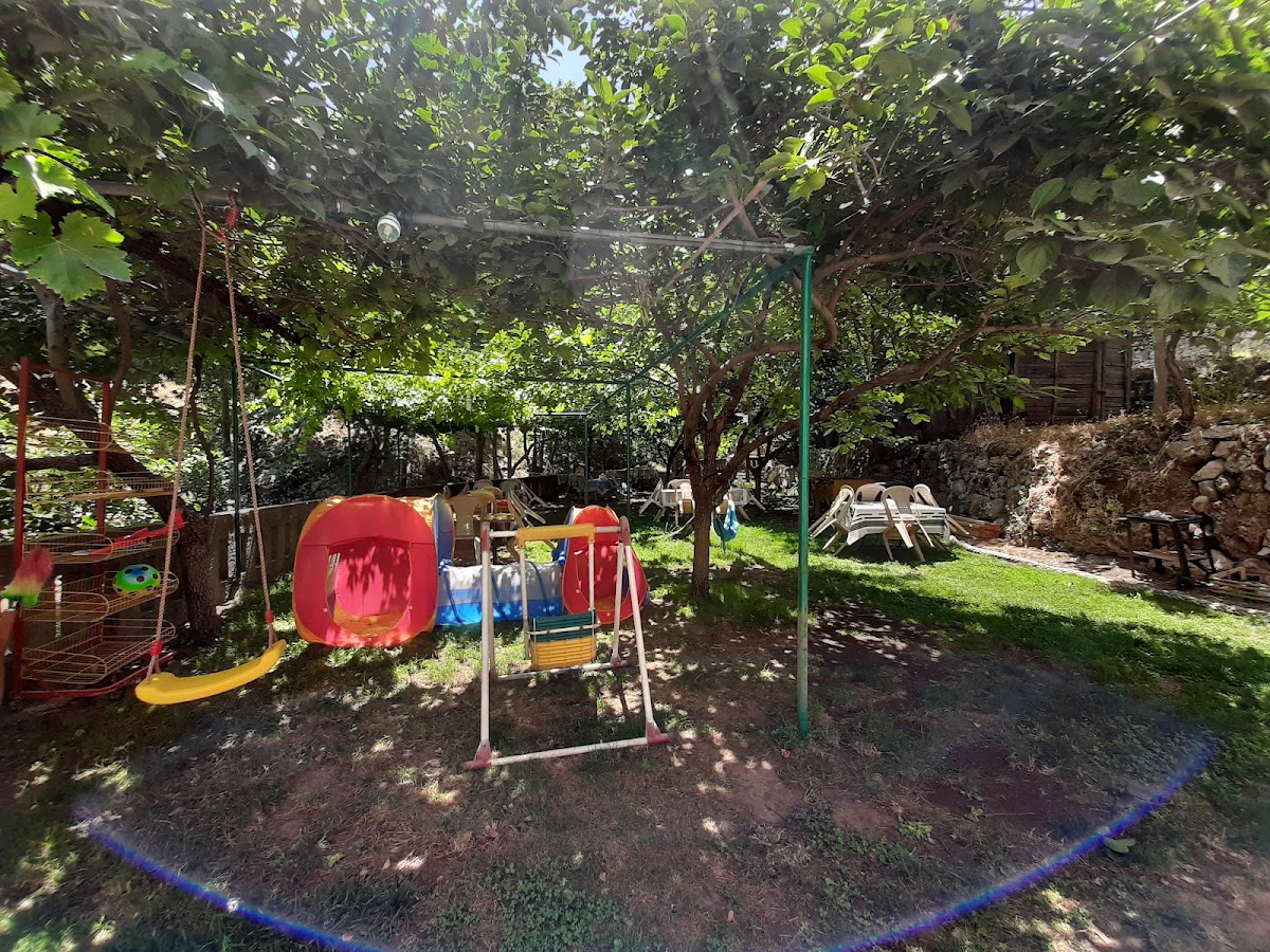 إستراحة العبّارة_picnic-park — photograph 3