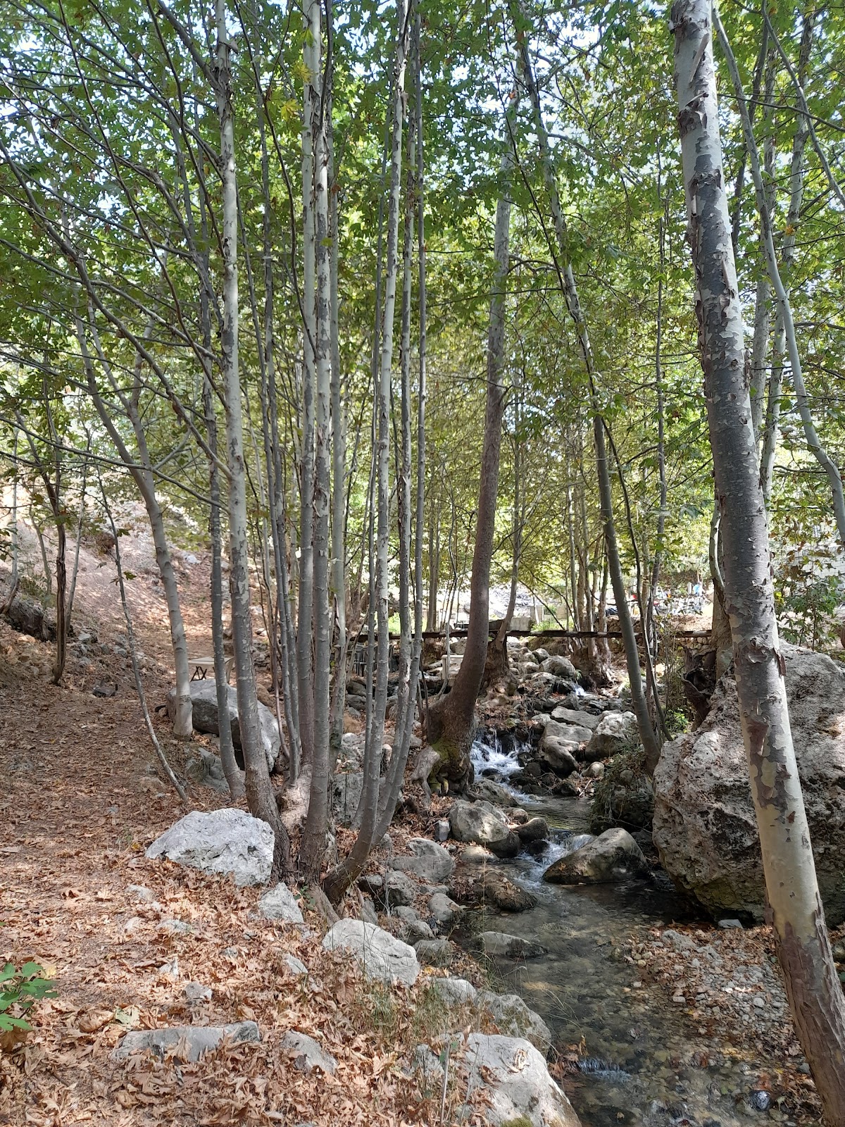 إستراحة العبّارة_picnic-park — photograph 4