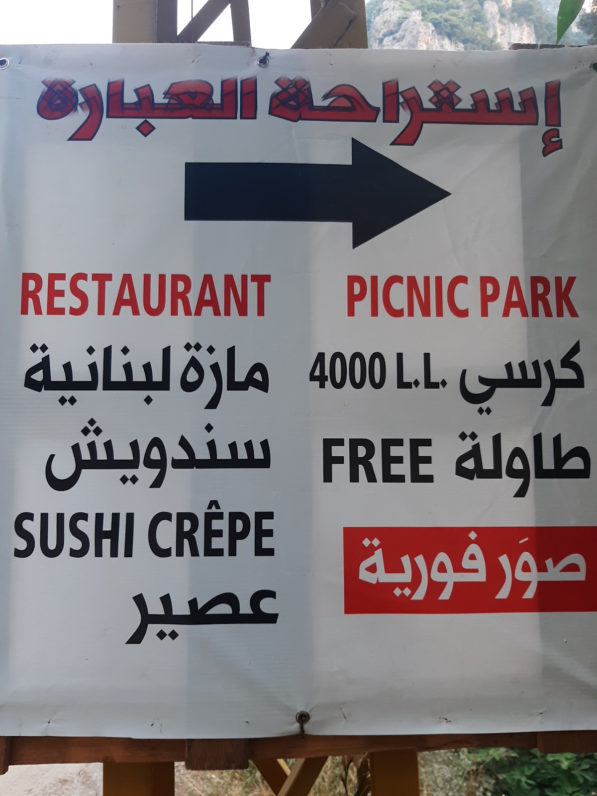 إستراحة العبّارة_picnic-park — photograph 5