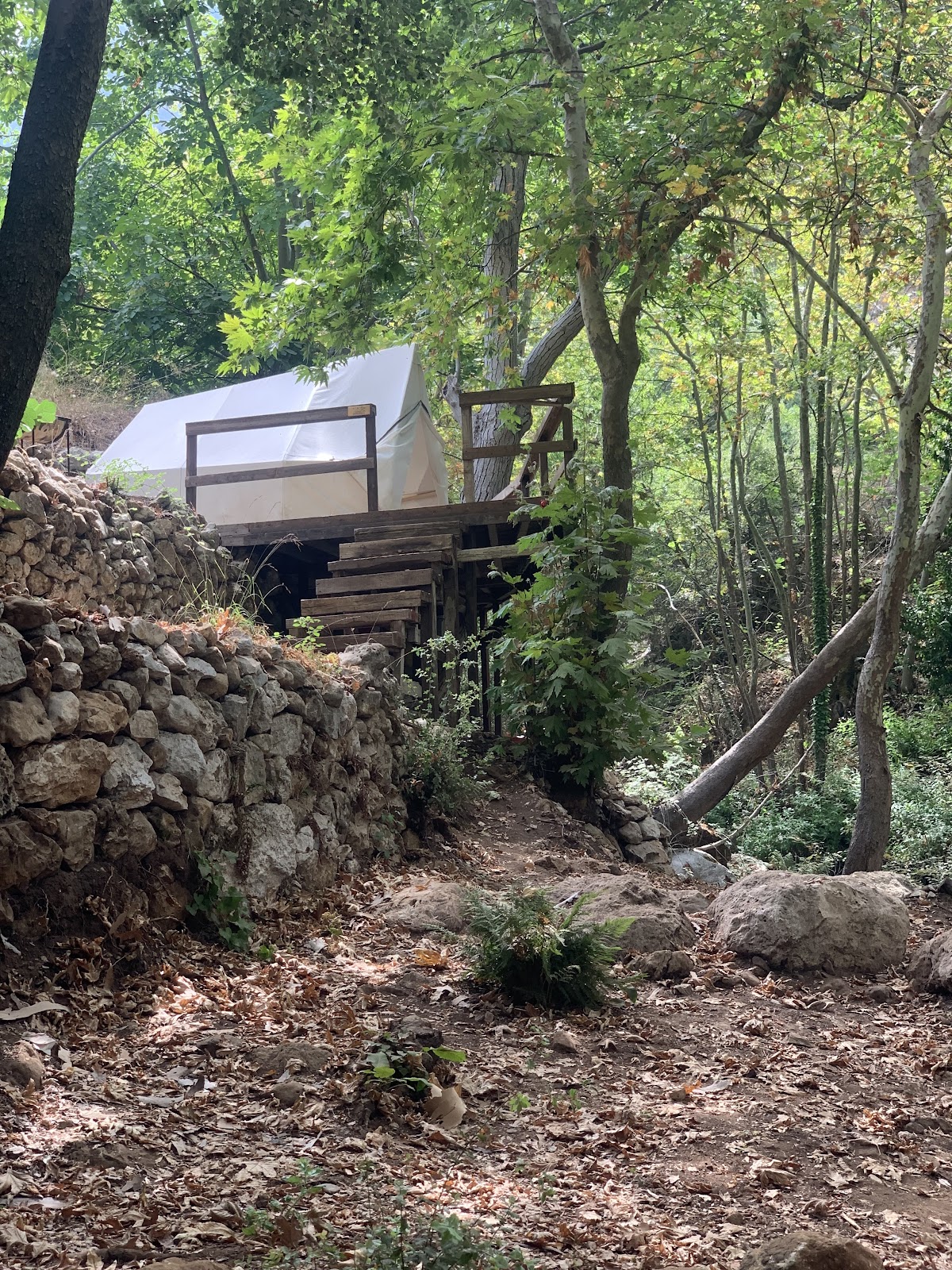 Joz Tannourine camping — photograph 2