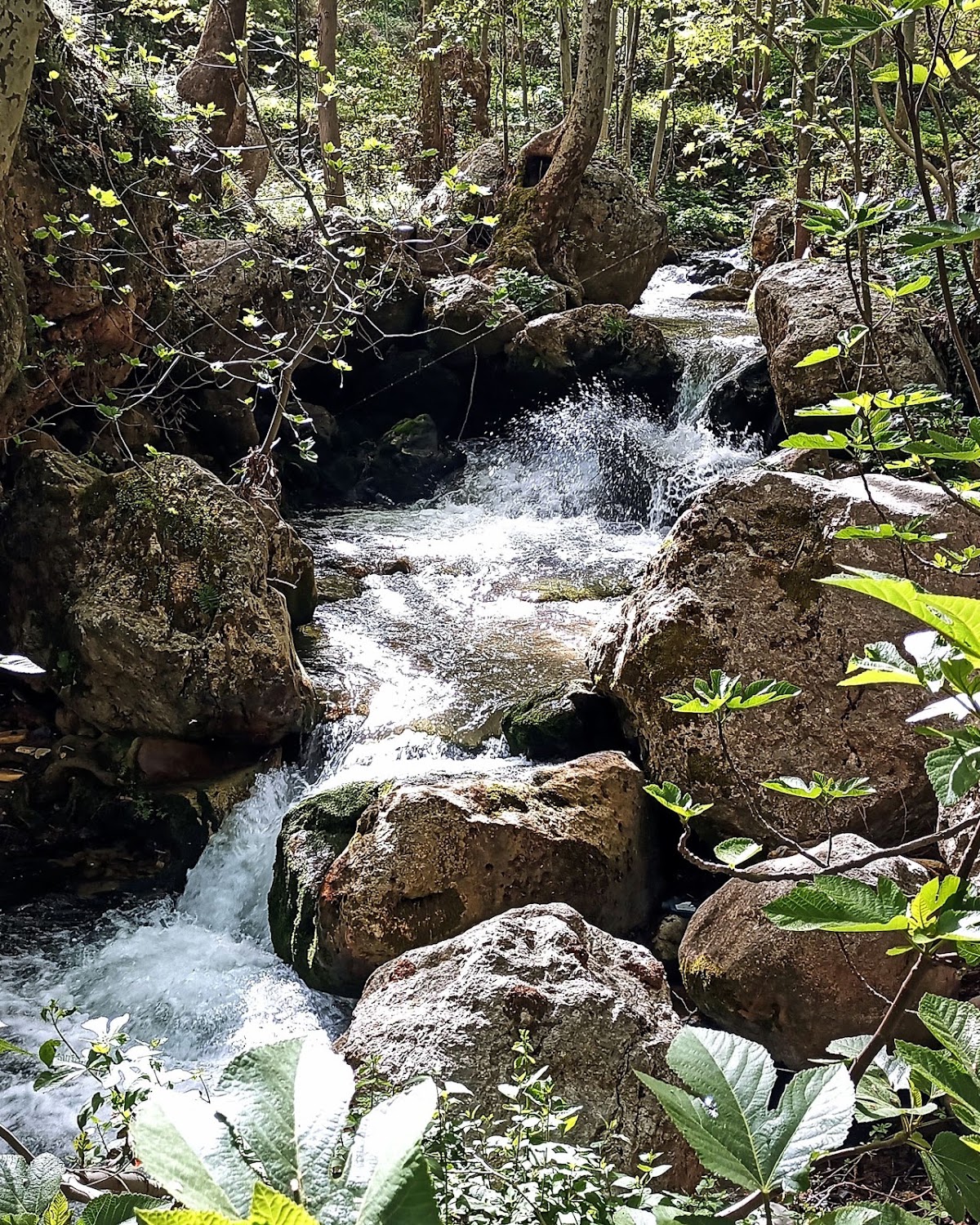 Paul's Haven — photograph 2