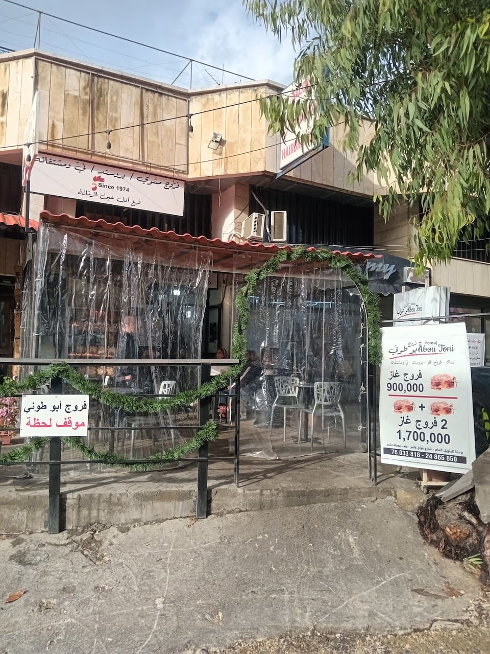 فروج أبو توني