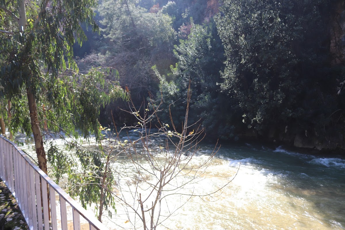 Wadi Al Laymoun - Restaurant — photograph 2