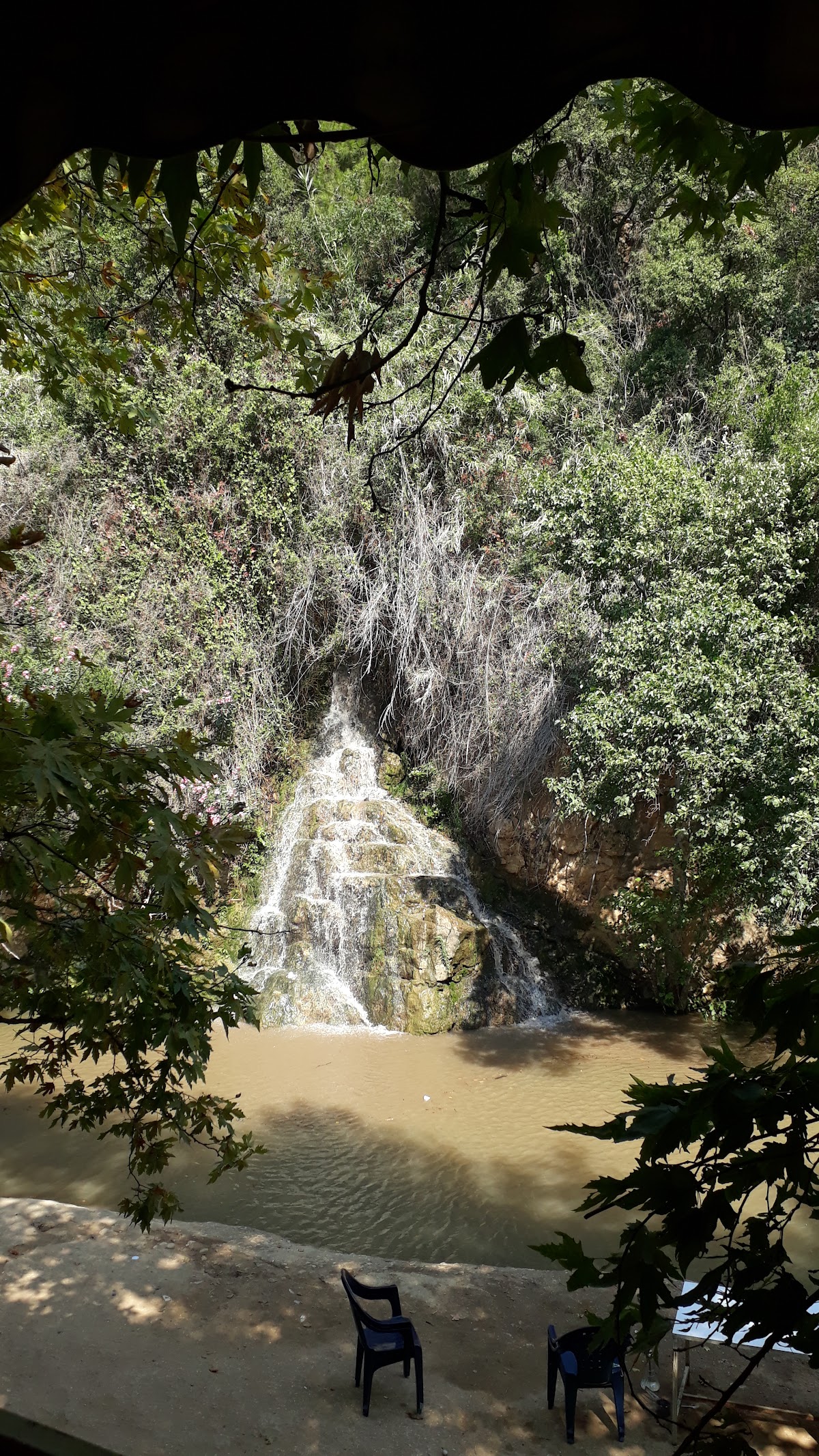 Wadi Al Laymoun - Restaurant — photograph 3