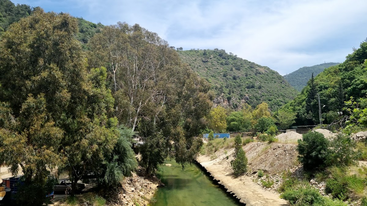 Al Wadi Al Akhdar - Restaurant
