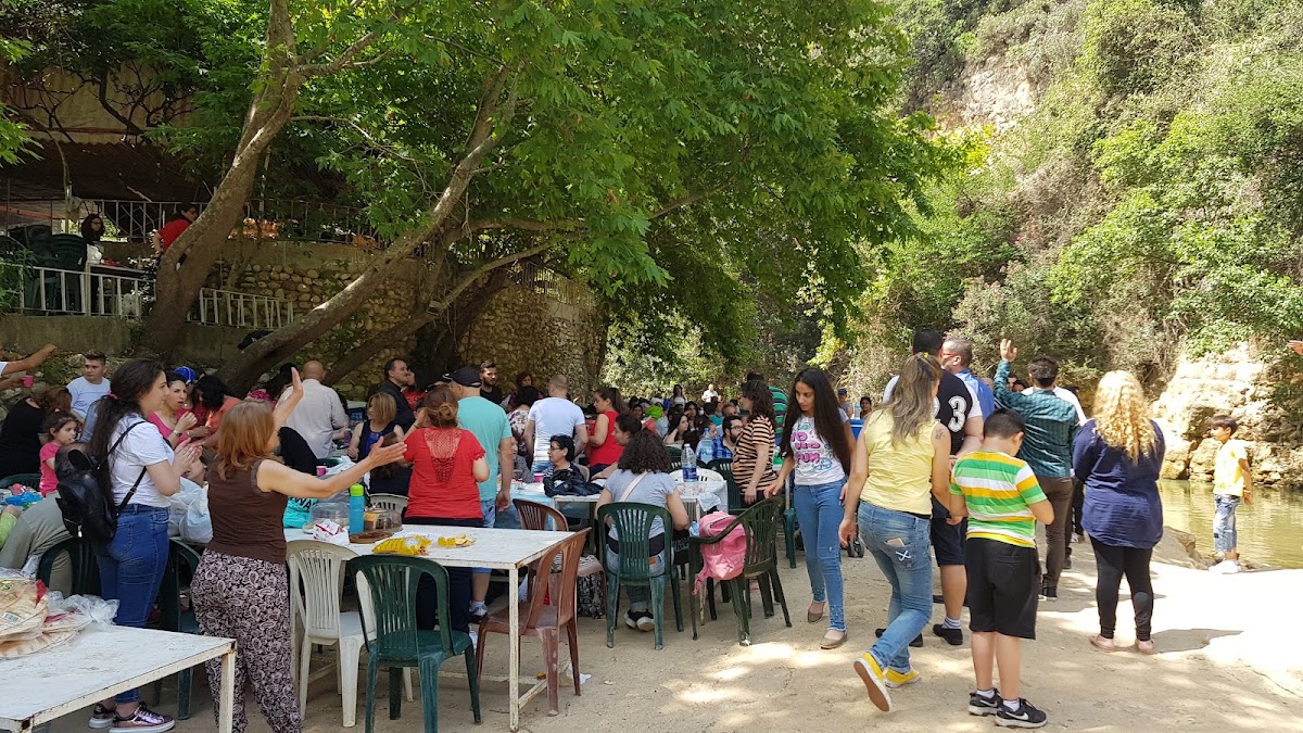 Al Wadi Al Akhdar - Restaurant — photograph 4