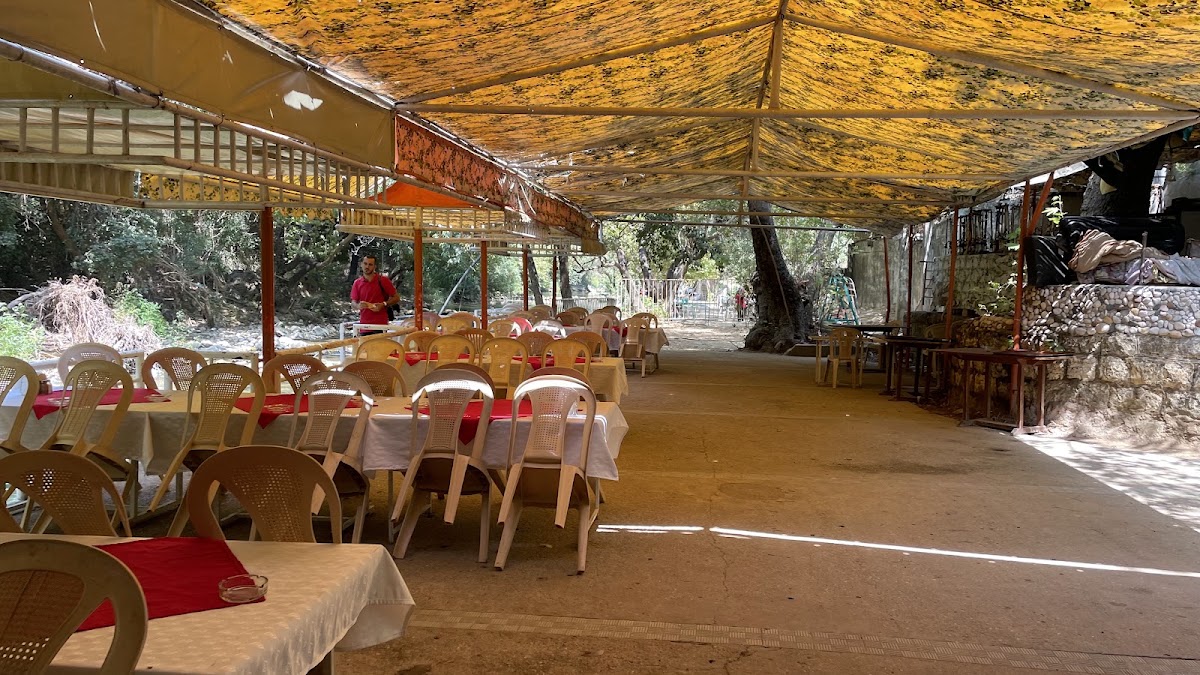 Al Delb - Restaurant