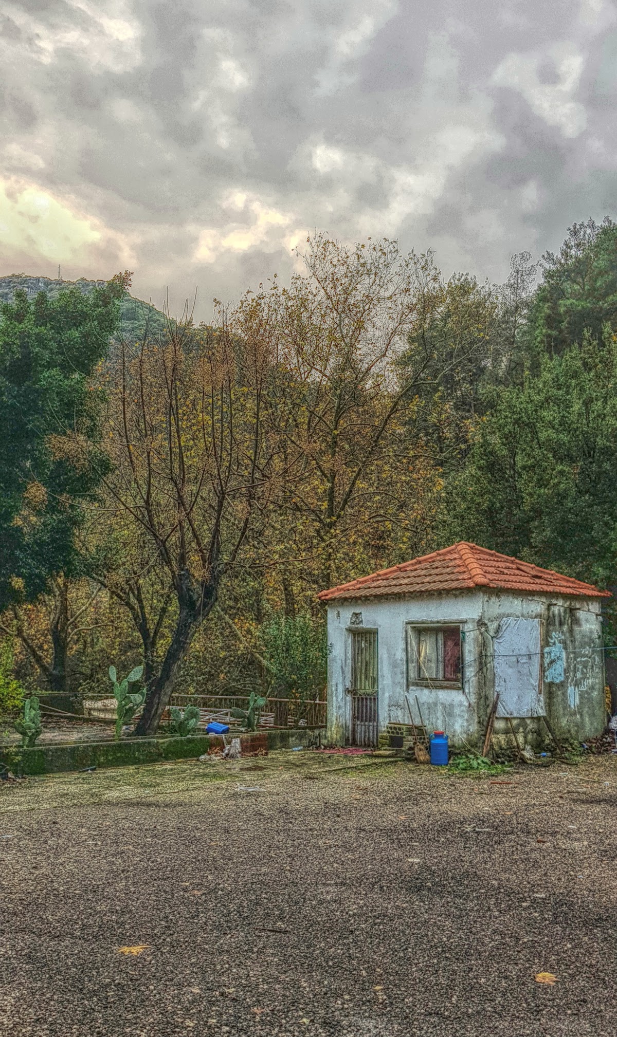 Al Delb - Restaurant — photograph 6