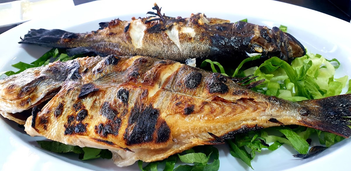El fish happy — photograph 4