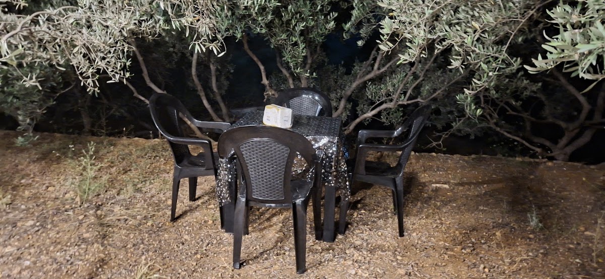 Honey Cafe — photograph 6