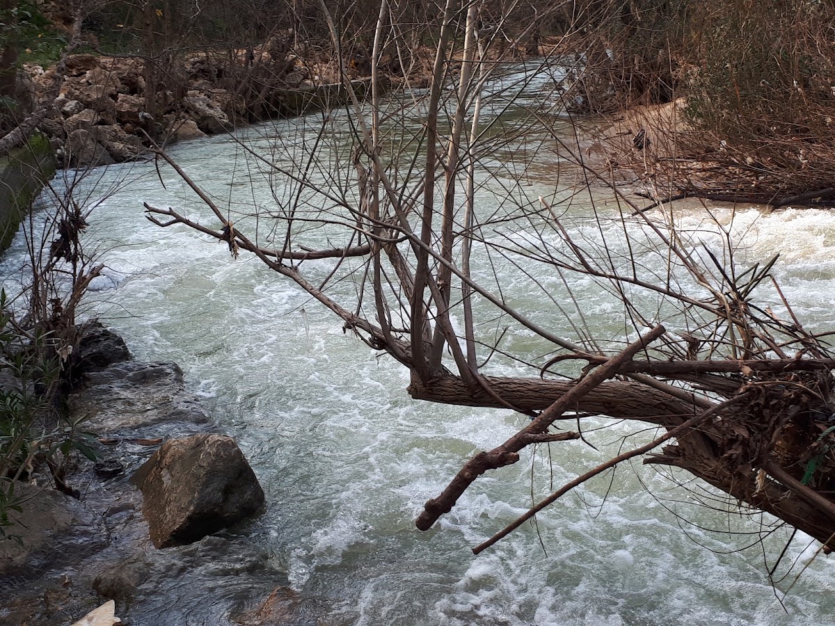Mataam w Montazah Al Dalb — photograph 5