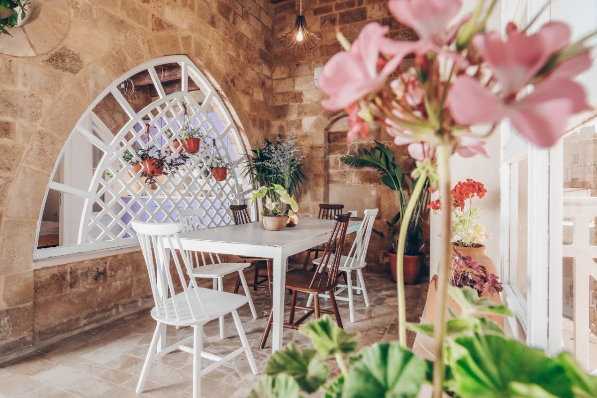 La Coquille, Batroun — photograph 4