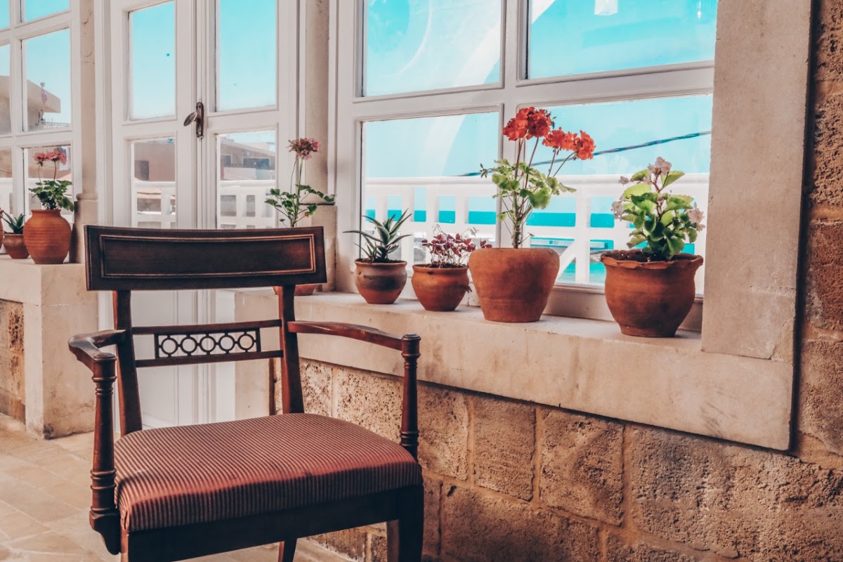 La Coquille, Batroun — photograph 6
