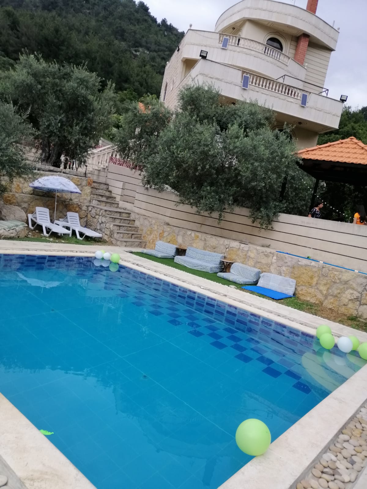 La villa green forest guesthouse