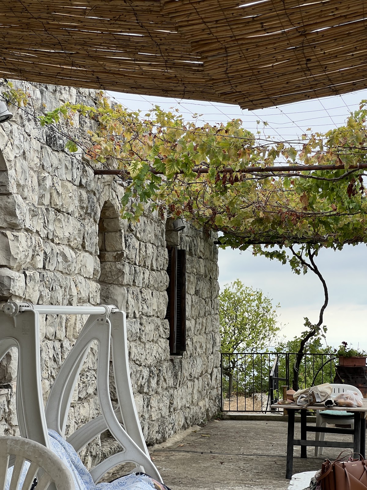 Beit Rose — photograph 4