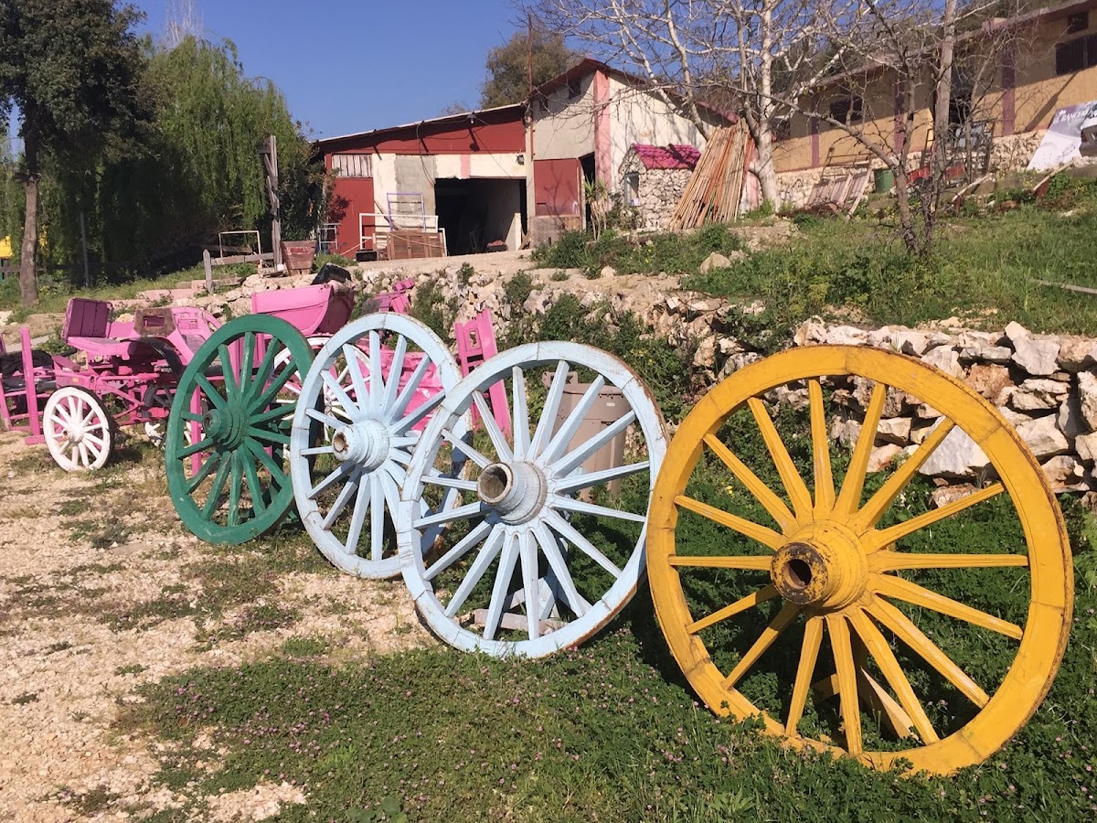 El Rancho Resort — photograph 5