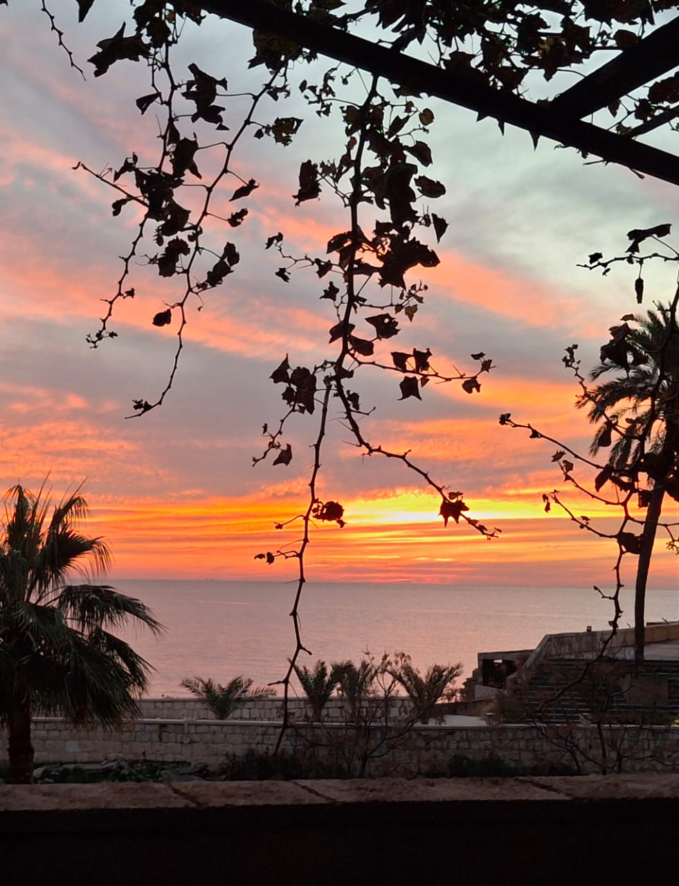 Santa Monica — photograph 2