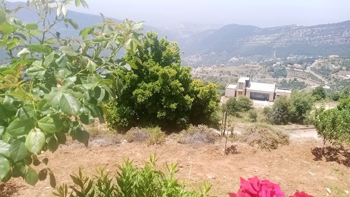 Sahab Guest House — photograph 3