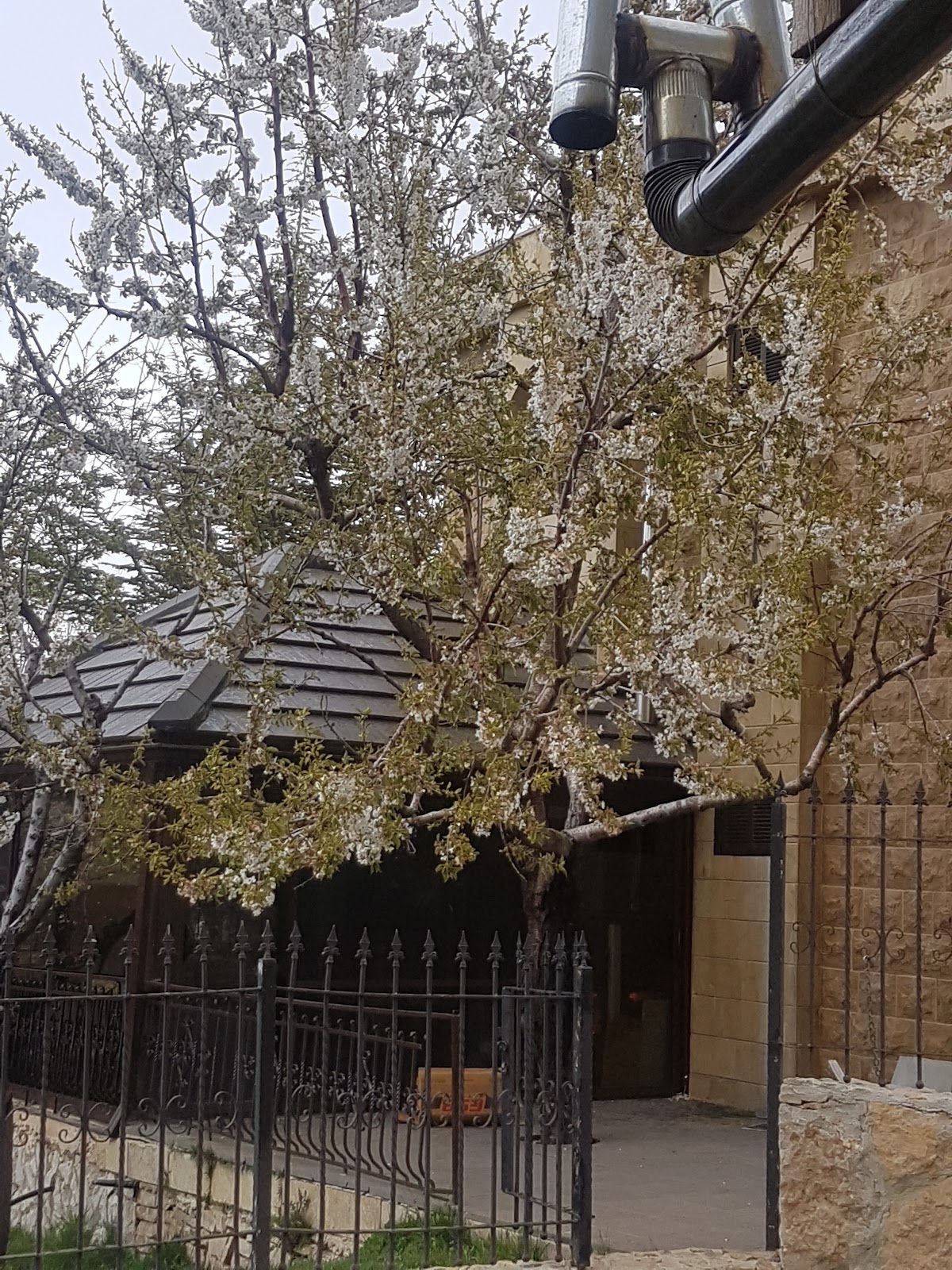 Al Arraj Restaurant — photograph 5