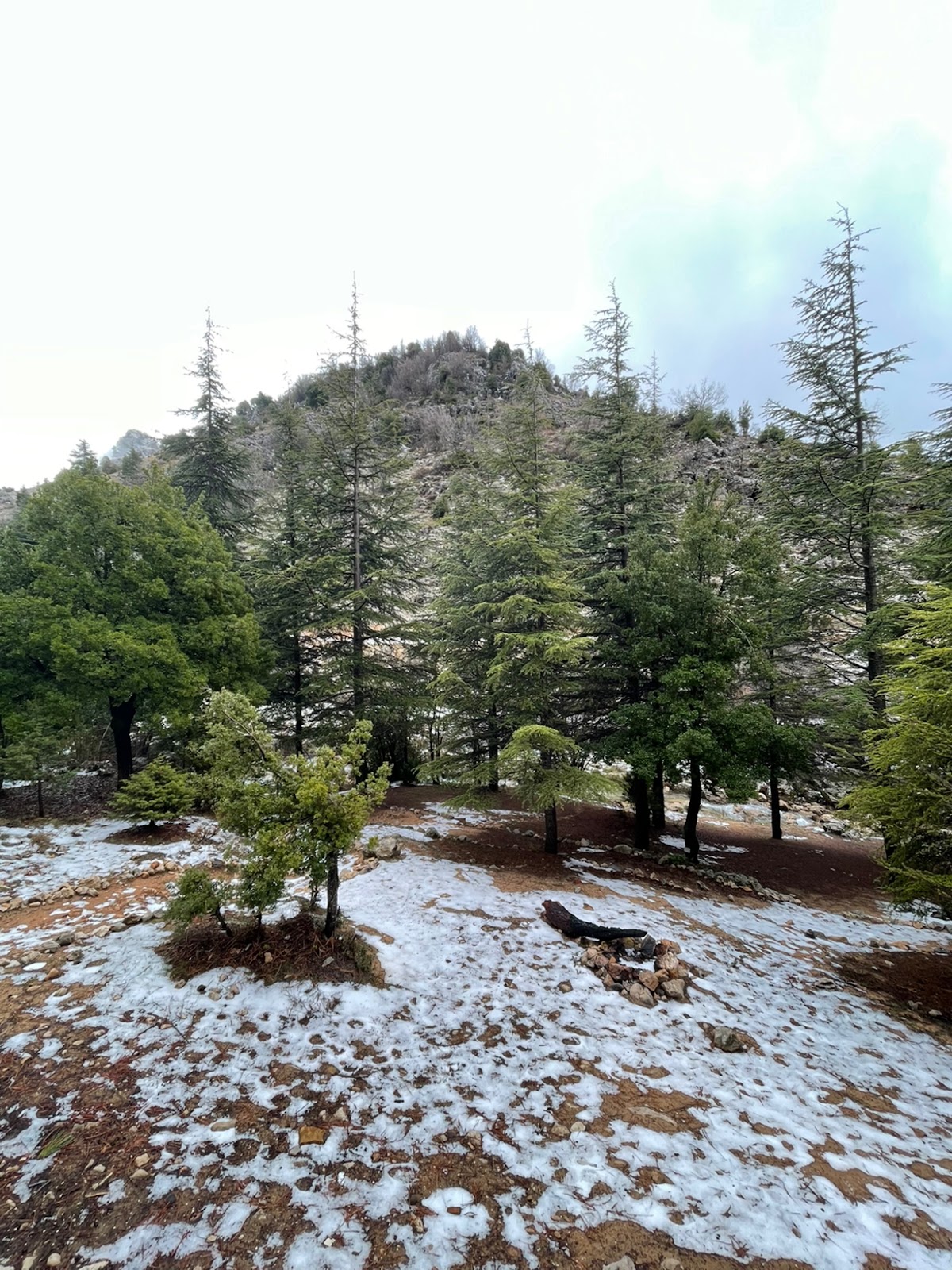 Arz Ehmej Conservation Park — photograph 2