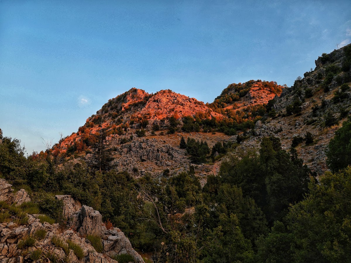 Arz Ehmej Conservation Park — photograph 3