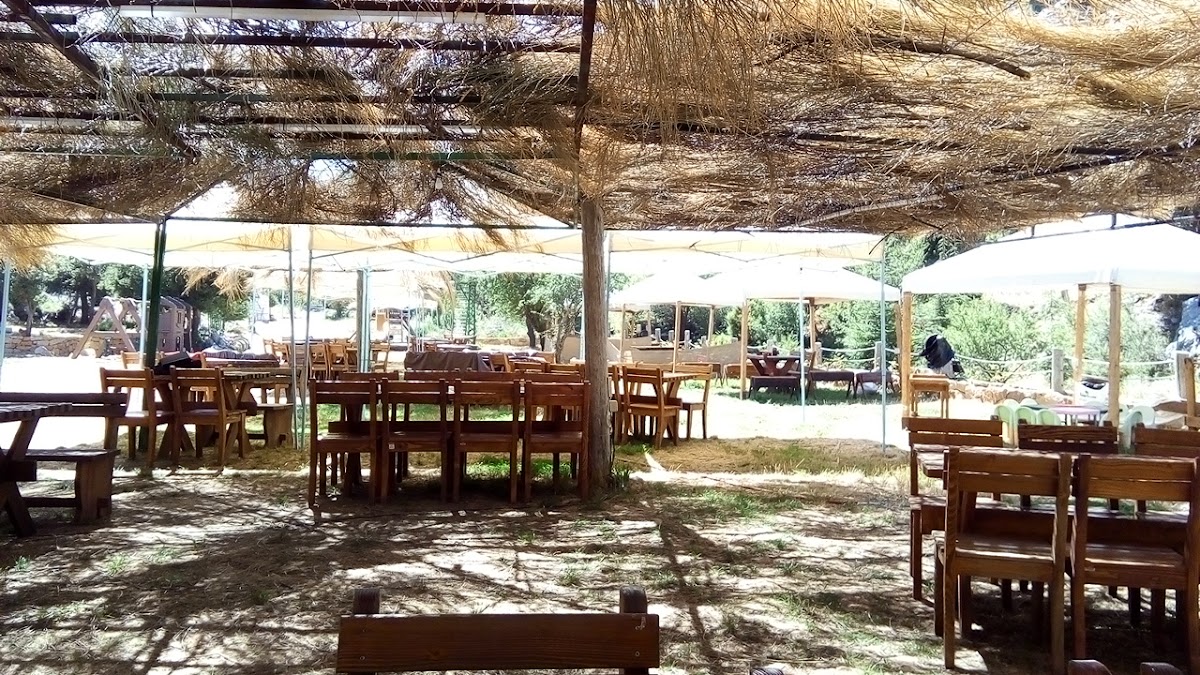 Arz Ehmej Conservation Park — photograph 5
