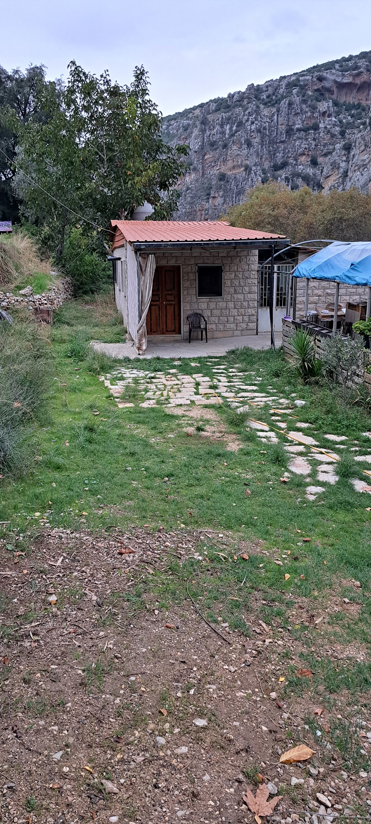 Nohra's guest house