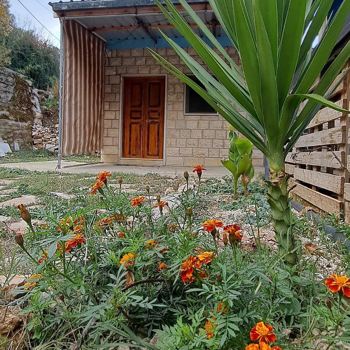 Nohra's guest house — photograph 3
