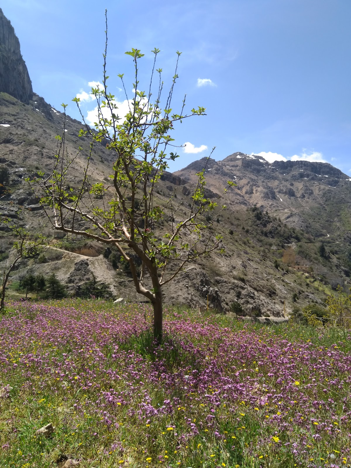 Mount Zayan — photograph 3