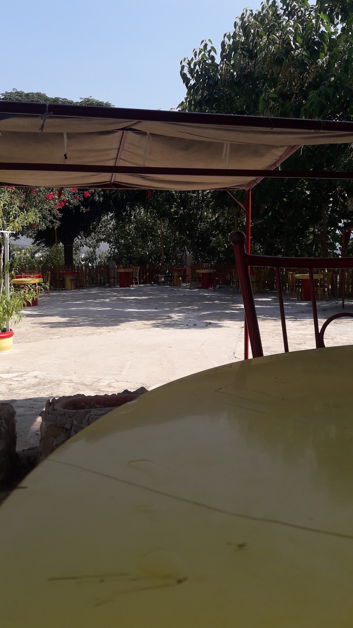 Garden Cafe — photograph 3