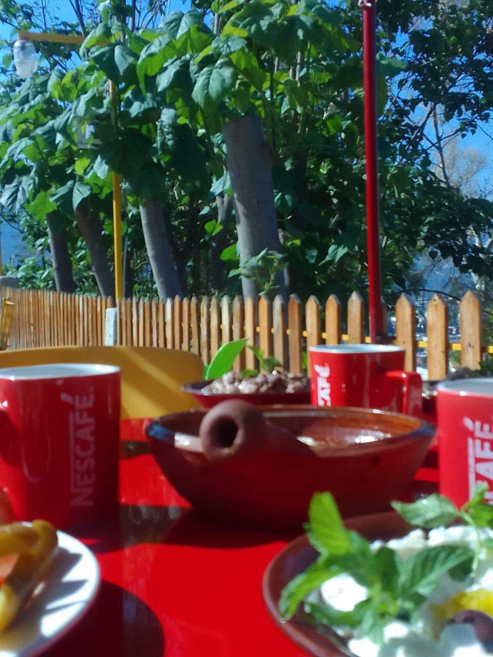 Garden Cafe — photograph 4