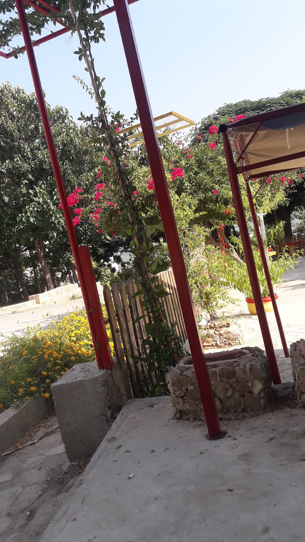 Garden Cafe — photograph 6